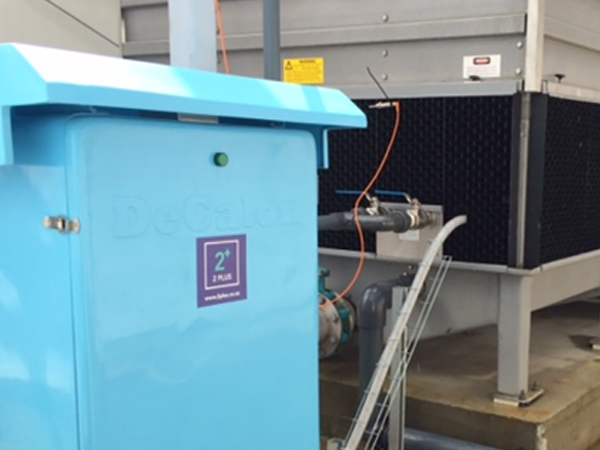 Mercer Mushrooms Pukekawa, New Zealand