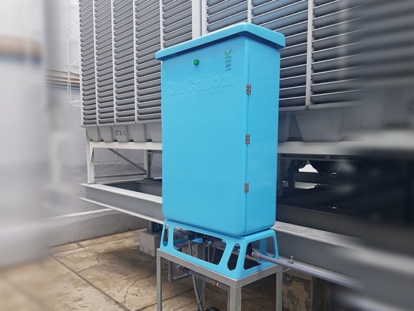 Local Bank, Singapore Site 1